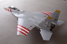 F-15D05