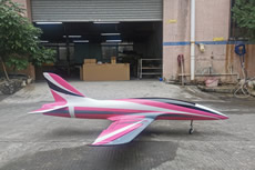 Mini Dolphin Sports Jet