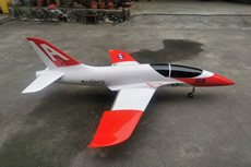 Mini Dolphin Sports Jet