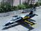Picture of Big L-39 (Airex) 
